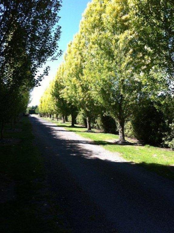 The Meadows Villa Christchurch Eksteriør bilde